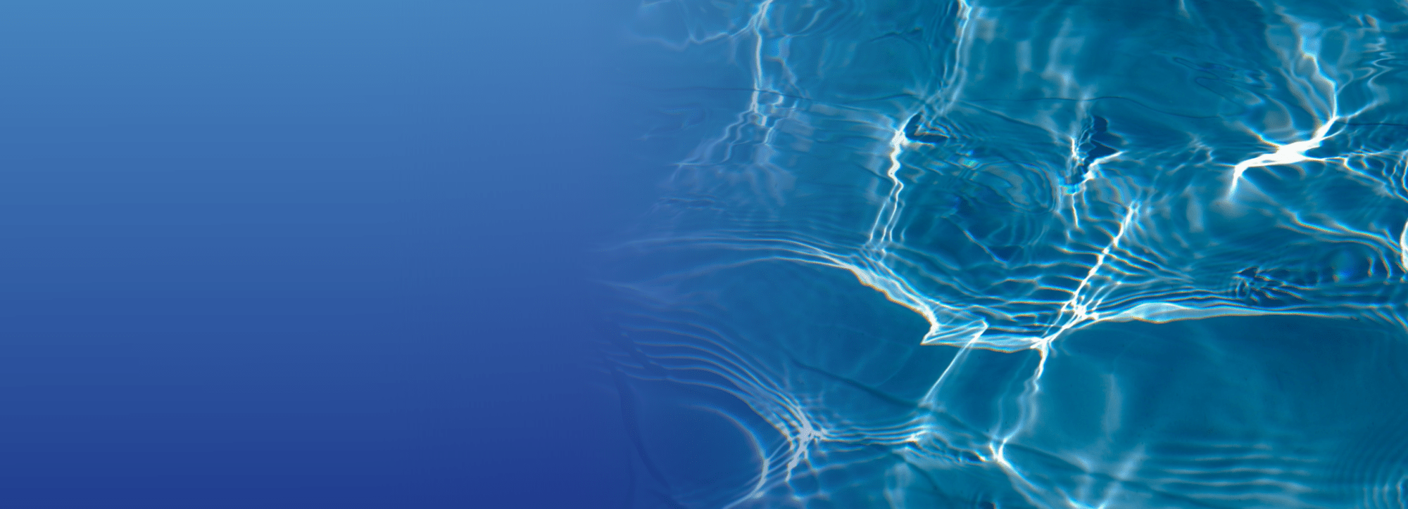 Brockwell Banner 1 (1)